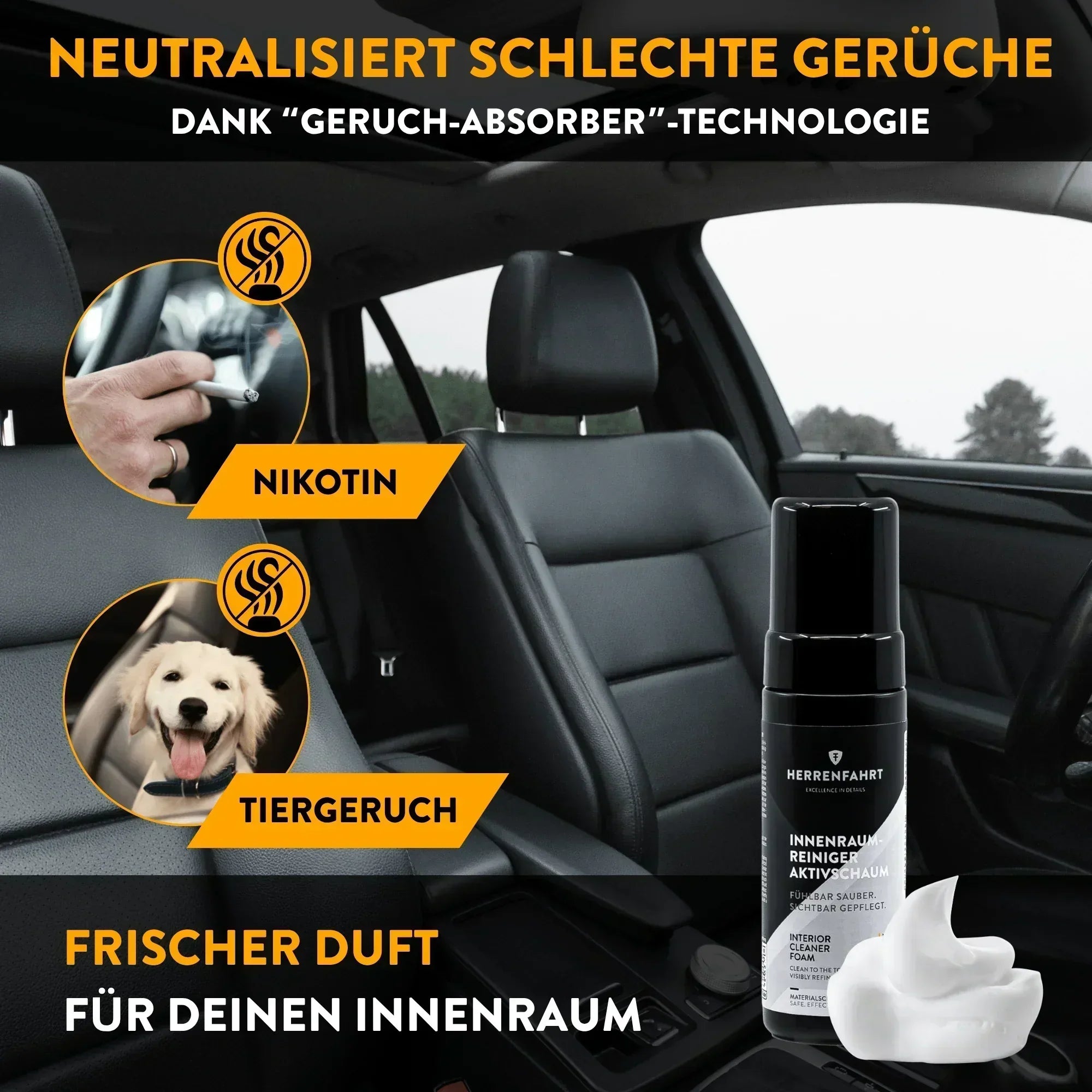 Premium Innenraumreiniger-Set